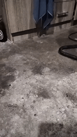 Twin Turbo Anime Girl GIF