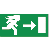 Sticker by Gisou by Negin Mirsalehi