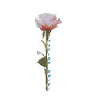 Brendon Urie Flower Sticker by Taylor Swift