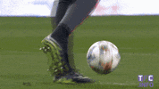 ligue 1 soccer GIF by Toulouse Football Club