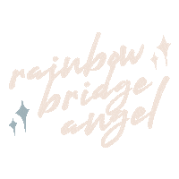 Angel Sticker