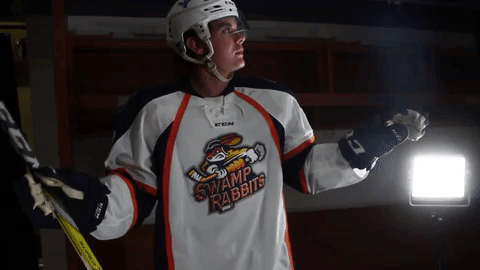 swamprabbits giphyupload dance swamp rabbits GIF