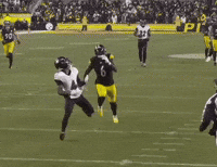 Baltimore Ravens Touchdown GIF
