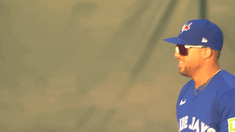 Blue Jays Baseball GIF by Toronto Blue Jays