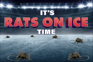 Rats On Ice