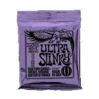 ERNIE_BALL ernie slinky ernie ball guitar strings Sticker