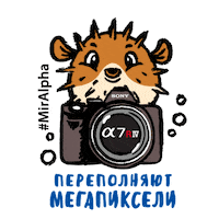 A9 Фотограф Sticker by Sony Россия