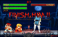 raiden GIF