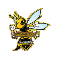 Sticker by SoccerBEE