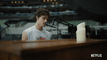 Shawn Mendes GIF by NETFLIX
