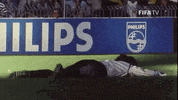 World Cup Football GIF by FIFA