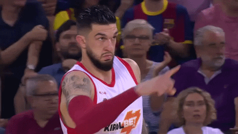 liga endesa basketball GIF by ACB