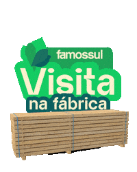 Visita Sticker by Famossul