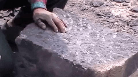 juanantoniosanchezscott giphygifmaker GIF