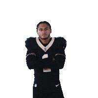 Nfl Football Sticker by New Orleans Saints