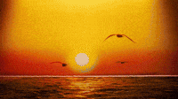 Sunset Loop