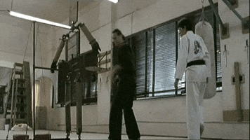 Ralph Macchio 80S Movies Clip