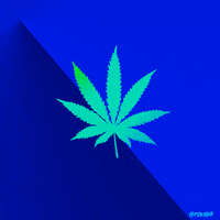 animation domination fox GIF