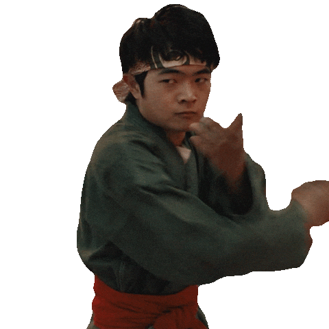 Kung Fu Karate Sticker by Sony Pictures