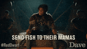 Red Dwarf Cat GIF