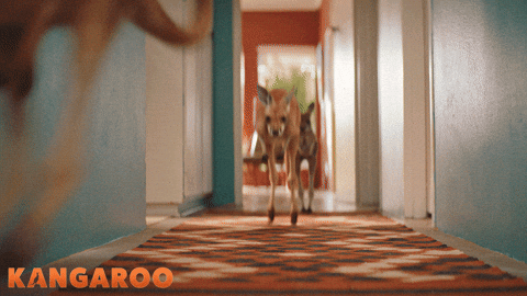 Deborah Mailman Kangaroo GIF by STUDIOCANAL