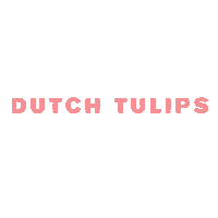 dutchtulips text morph double visions dutch tulips Sticker