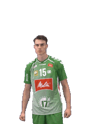 Handball-Bundesliga Fan Sticker by LIQUI MOLY HBL