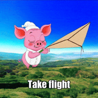 Wisdom Perspective GIF by The Pigasso