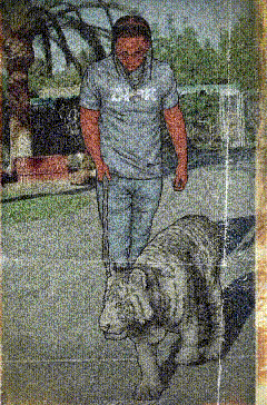 DrillArts giphycreatortest mike tyson pop smoke popsmoke GIF