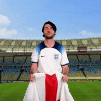 Red Card Ugh GIF by World Cup