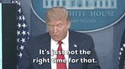 Donald Trump GIF by GIPHY News