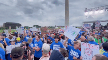 Thousands Gather at Washington Monument for Anti-Gun Violence Protest
