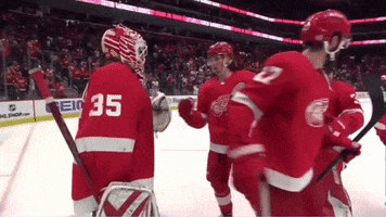 Red Wings Win GIF by Bally Sports Detroit