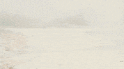 Happy Dragon Ball Z GIF by Mega64