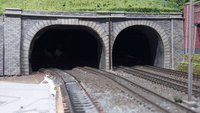 Cat Squeezes Out of Model Train Tunnel