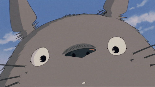 swebdev01  GIF