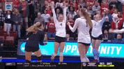 gostanford  GIF