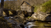 west virginia GIF