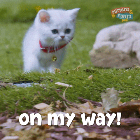 Be There Soon On My Way GIF by Mittens & Pants