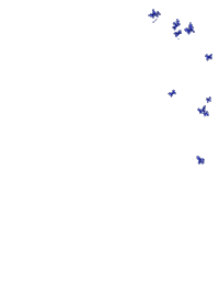 Butterfly Effects Sticker by andreaschumacher