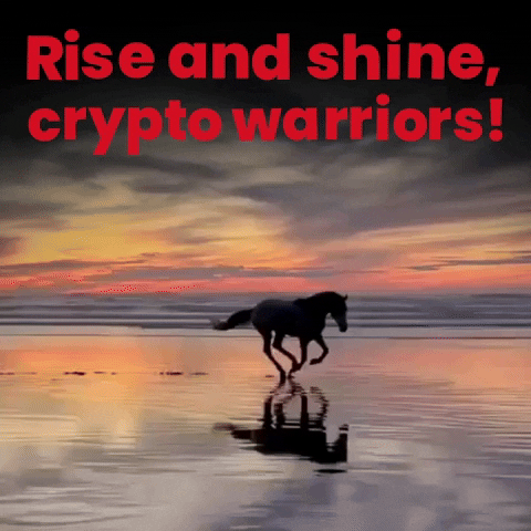 StreamCoin giphyupload crypto cryptocurrency goodmorning GIF