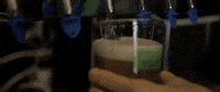 beer brewery GIF