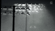 Us Open Sport GIF by Tennis Channel