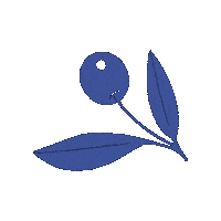 Aceite Oliva Sticker by Gnomo