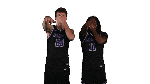 Ppp D3 Sticker by Albion College