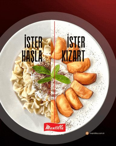 mantillagida giphyupload manti mantı mant GIF