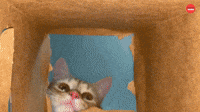 Peekaboo