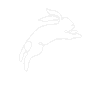 Bunny Rabbit Sticker by Bodega Bunnies