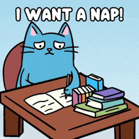 Running Away Blue Cat GIF