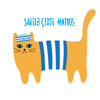 ontis cat cats kitty meow Sticker